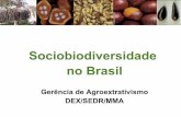 Sociobiodiversidade no Brasil - mma.gov.br · Política Geral de Preços Mínimos para os Produtos da ... Cadeias de Produtos da Sociobiodiversidade ... • Selo de origem para garantia