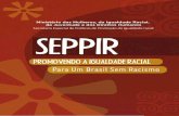 SEPPIR –PROMOVENDO A IGUALDADE RACIAL Para Um … · Sigamos adiante, ainda mais certos da necessidade e urgência das ações do Estado brasileiro, sob a coordenação da SEPPIR,
