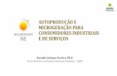 AUTOPRODUÇÃO E MICROGERAÇÃO PARA …cbem.com.br/wp-content/uploads/2011/12/GreenSolar-Recife.pdf · Modelos ao longo do tempo ... Diagrama dos Atores em Negócios com Telhados