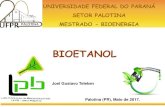 BIOETANOL - palotina.ufpr.br · •Coração–fração intermediária, constituída basicamente de etanol;