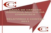 Relatório e contas 2011 - Caixa de Crédito da Chamuscaccamchamusca.pt/publicacoes/relcontas2011.pdf · caixa de crÉdito agrÍcola mÚtuo da chamusca relatÓrio e contas 2011 página