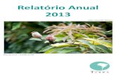 Relatório Anual 2013 - :: INSTITUTO TERRAinstitutoterra.org/.../Relatorio_Anual_-_2013_v2.pdf · Relatório Anual 2013 ... No ano de 2009, ... voltado para a revitalização dos