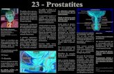 23 - Prostatites - Página Inicial _prostatites.pdf · -O Câncer - E a Prostatite. Este é o assunto de hoje, as prostatites ou os pro-cessos inflamatórios da glândula prostática.