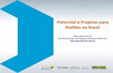 Potencial e Projetos para Fosfato no Brasil MAISA BASTOS ABRAM.pdf · Mapa de cluster demonstra claramente que áreas anômalas para P também ocorrem no lado ... PI MA TO PA BA CE