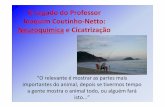 O Legado do Professor Joaquim Coutinho-Netto -Prof Wagnerjornal.fmrp.usp.br/wp-content/uploads/2012/12/O-Legado-do... · experimental • Glutamate release in experimental ischaemia