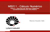MS211 - Cálculo Numéricovalle/Teaching/MS211/Aula05.pdf · Na aula anterior, falamos sobre os erros de arredondamento na representação de ponto ﬂutuante e suas operações aritméticas.