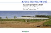 Recomendações para produção de uvas de mesa …§ões para produção de uvas de mesa em cultivo protegido na região da Serra Gaúcha Sistema de condução Para produção de