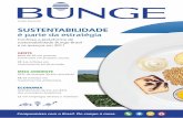 SuStentabilidade é parte da estratégia - bunge.com.br · e Valores Desde 2010, a Bunge Brasil integrou-se ... Foi presidente dos Conselhos de administração da Petrobras e do banco
