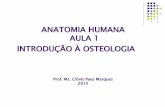 ANATOMIA HUMANA AULA 1 INTRODUÇÃO À OSTEOLOGIA · ANATOMIA HUMANA AULA 1 INTRODUÇÃO À OSTEOLOGIA Prof. Ms. Clóvis Paes Marques 2015. ... INTRODUÇÃO A OSTEOLOGIA Número de