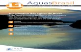 Diagnóstico das águas do Brasil - arquivos.ana.gov.brarquivos.ana.gov.br/imprensa/publicacoes/AguasBrasil/AguasBrasil11... · Informativo da Agência Nacional de Águas No 11 6