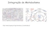 Integração de Metabolismo - iq.usp.br · Num organismo multicelular complexo, como o homem, cada órgão evoluiu para desempenhar um papel metabólico distinto