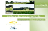 Colégio Marista de Joinville · 4.5.2 Identificação do Nível de Serviço da Via ... definindo os seus impactos positivos e ... expressa que os impactos meio ambiente podem ser