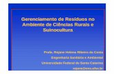 Gerenciamento de Resíduos no Ambiente de Ciências Rurais e ...w3.ufsm.br/isrmu/conferencias/Rejane_Helena_Ribeiro_da_Costa.pdf · dinamismo da suinocultura ü 2,5 milhÕes de empregos