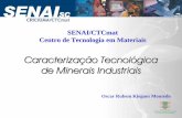 Caracterização Tecnológica de Minerais Industriais · Localizado em Criciúma –SC, o maior polo cerâmico do sul do país, iniciou suas atividades em junho de 1995 viabilizado
