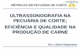 Liliane Suguizawa - Palestra BeefExpo(16.06.2016)aveworld.com.br/relatorio/e3ed9c02533109eaeba4cb2327f87e73.pdf · Melhorar a Qualidade da Carne na América do Sul Temos que apoiar