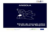 Mensagem do Presidente da Associação Industrial Portuguesa ...portugalcolombia.com/media/EstudodeMercado_AIP_Benguela.pdf · poder de compra regional compatível com uma redução