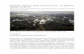 Pantanal: Ativistas lutam para preservar as planícies ...d3nehc6yl9qzo4.cloudfront.net/downloads/pantanal___ativistas_lutam... · do planeta, o Pantanal . ... 1 NT: O texto não