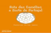 Rota das Camelias a Norte de Portugal · portugueses e desde os princípios do Séc. XIX alegram os jardins mais emblemáticos. Para descobrir os seus aromas, o seu ... de espécies