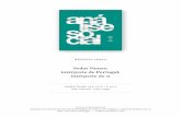 RENATO LESSA - Análise Social - Revista do Instituto de ...analisesocial.ics.ul.pt/documentos/AS_222_dos02.pdf · incontornável de Nuno Estevão Ferreira (2006). ... 144 RENATO