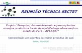 REUNIÃO TÉCNICA SECTET - sectet.pa.gov.br 2017 PDF _SLIDES... · de apoio para a prestação de serviços, os fatores locais favoráveis (recursos naturais, recursos humanos, cultura,