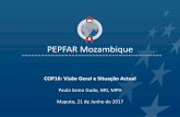 PEPFAR Mozambique · Iniciativas em Curso para Melhorar e Avaliar a Retenção • Pacote de APSS/PP actualizado: formação de formadores nacionais e iniciadas replicas provinciais;