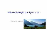 Microbiologia da água e ar - UNESP: Câmpus de ... · –Pode ocorrer depleção de O2 ... Altitude (m) Bactérias (Gênero) Bolores ... Tabela. Tipos de micro-organismos isolados
