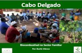 Cabo Delgado - Website:  · Energia Renovável Criação de Clubes de ... gerador e motobomba. Demonstração de JAT-DIESEL em moageiras ... 15,000 20,000 25,000 30,000
