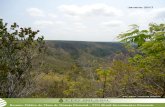 Resumo Público do Plano de Manejo Florestal – TTG Brasil ... · Contato Em caso de dúvidas, sugestões ou críticas a respeito do Manejo Florestal, a TTG Brasil Investimentos