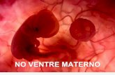 Um feto de poucas semanas encontra-se NO VENTRE … · O milagre da formação da vida humana no interior do corpo materno está perto de ser concluído. Em poucos dias os pulmões