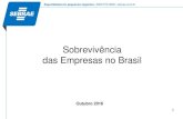 Sobrevivência das Empresas no Brasil - sebrae.com.br Sebrae/Anexos/sobrevivencia-das... · • A taxa de sobrevivência das EPP são muito próximas das MdE e GdE; • A taxa de