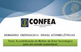 SEMINÁRIO: ENERGIA/2014 - confea.org.br · Os dados mostram que a fecundidade das mulheres com ensino superior completo é de 1,14 filho , enquanto as sem instrução e com ensino