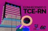 CONHECENDO O TCE-RN · PDF fileEm termos de despesa com pessoal, por força de um erro ... TCE-RN TCE-RR TCE-SC TCE-PI TCE-AC TCE-CE TCE-SE TCE-T TCE-SP TC-D TCE-S TC-R TCE-PE TC-SP