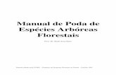 9 Manual de poda de especies arboreas - area.org.br · 30 e 31 de outubro e 1º de novembro de 1996 – Piracicaba/SP Manual de Poda de Espécies Arbóreas Florestais Figura 2-1 –
