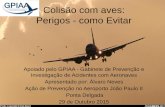 Colisão com aves: Perigos - como Evitarapooa.com/site/images/PDF/BirdStrikes-Apresentao_PDL_2015.pdf · 1º - A investigação de segurança de acidentes e incidentes na aviação