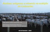 Enzimas exógenas e minerais na nutrição de ruminantestortuga.com.br/isvit2016/doc/23.02/23.02 Corte/6_23.02_Tiago Acedo.pdf · animal de gado de corte a pasto (2013-2014) Acedo