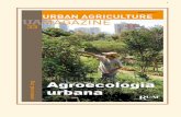 Revista de Agricultura Urbana n Agroecologia urbana - ruaf.org · Rosário, Argentina Projeto Cinturão Verde: promovendo a produção agroecológica de alimentos na periferia de