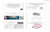 Importância das pequenas populações Evolução em pequenas ...labs.icb.ufmg.br/lbem/aulas/grad/biolcons/aula2-peqpops2014.pdf · A baixa diversidade genética em espécies ameaçadas