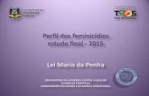Perfil dos feminicídios estudo final - 2015 Lei Maria da Penha · observatÓrio da violÊncia contra a mulher divisÃo de estatÍstica departamento de gestÃo e estratÉgia operacional