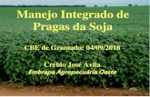 Manejo Integrado de Pragas da Soja - cbe2018.com.br · Resultados: Inimigos Naturais - Dourados (Safra 2015/16) Área do MIP Santos & Ávila (2017) Figura 2. Figura 15. Parasitoides