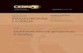 15 DE JUNHO DE 2018 INFRAESTRUTURA Local: Rio de …midias.cebri.org/arquivo/Energia_Relatorio_4 Mobilidade elétrica.pdf · engenheiro eletricista formado pela PUC-RJ (1999), ...