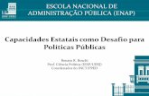 Capacidades Estatais como Desafio para Políticas Públicasrepositorio.enap.gov.br/bitstream/1/2957/19/19 - Renato Boschi pt.pdf · 6 Capacidades estatais em políticas estratégicas