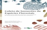 Coleta de Sementes de Espécies Florestais - Principalainfo.cnptia.embrapa.br/digital/bitstream/item/120945/1/Cartilha... · Exemplares desta publicação podem ser adquiridos na: