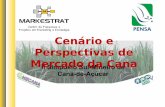 Cenário e Perspectivas de Mercado da Cana · - exportação da tecnologia e usinas com o investimento ... da palha e bagaço) - integração usina de biodiesel e açúcar e álcool