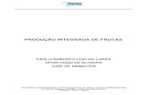 PRODUÇÃO INTEGRADA DE FRUTAS - Principal - Agropedia ...ainfo.cnptia.embrapa.br/digital/bitstream/CPATSA/27272/1/OPB419.pdf · inimigos naturais no controle de pragas e doenças