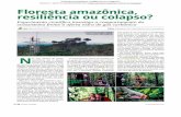 Floresta amazônica, resiliência ou colapso? - Portal Unicamp · Floresta amazônica, ... foram realizados em florestas temperadas, nos Estados Unidos e Europa, que obvia- mente