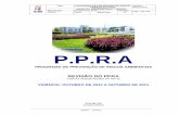 P.P.R - riscobiologico.org · Após publicação da NR-32, em 11.11.2005, faz-se necessário modificar a visão do PPRA, que deverá estar voltado para as adequações necessárias,