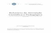 Relatório de Atividade Científica e Pedagógica - uc.pt · Braga: Communication and Society Research Centre. (ISBN: 978-989-8600-04-2) 2009, coautora (com Maria João Silveirinha)