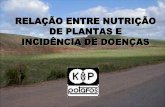 RELAÇÃO ENTRE NUTRIÇÃO DE PLANTAS E INCIDÊNCIA DE …brasil.ipni.net/ipniweb/region/brasil.nsf... · Para que ocorra a resistência ao fungo é necessário que o Si esteja na