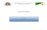 MUNICÍPIO DE PATO BRANCO Estado do Paraná · PR, discriminados em item específico deste edital, atendendo as designações de ocupação de vagas a critério da administração