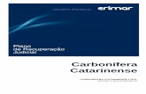 Carbonífera Catarinense - gladiusconsultoria.com.br · O carvão mineral é uma rocha sedimentar formada a partir do soterramento, compactação e elevação de temperatura em depósitos